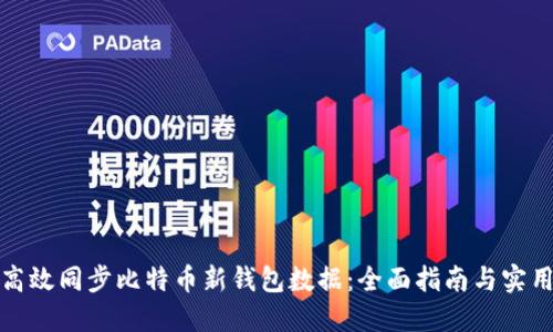 如何高效同步比特币新钱包数据：全面指南与实用技巧