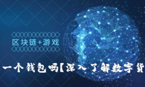 每种数字货币都需要一个钱包吗？深入了解数字货币钱包的种类与功能