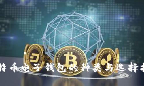 比特币电子钱包的种类与选择指南