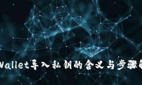 TPWallet导入私钥的含义与步骤解析